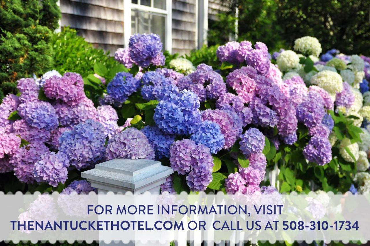 The Nantucket Hotel & Resort Esterno foto